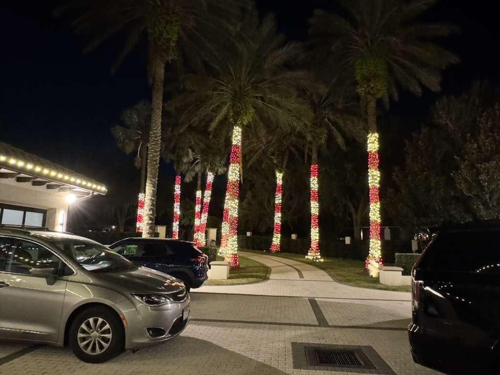 Northern Lights Florida lighting project 11